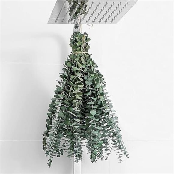 10 Pcs Dried Eucalyptus Stems 17" Real Eucalyptus for Shower Hanging - Picture 7 of 7